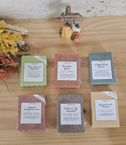 Fall Travel Body Bar Box Set of 6