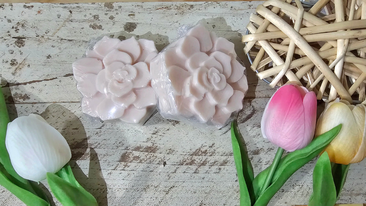 Coconut Cream + Vanilla 2.5 oz