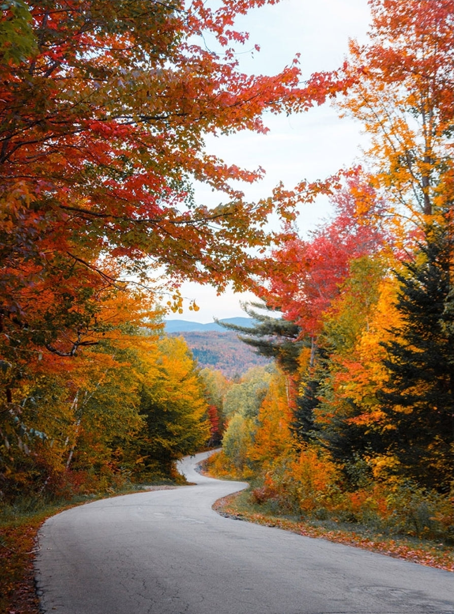 Fall Bundle