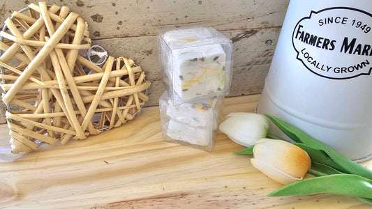 Botanical Shower/Bath Melt 2/PK