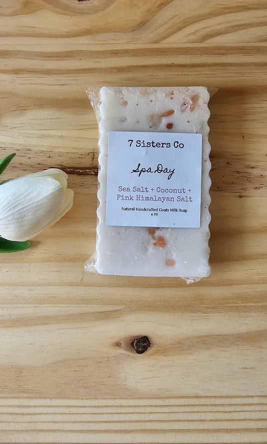 Spa Day Body Bar 🥥🧂 4oz