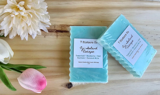 Fiji Island Escape 🏝 Body Bar 4 oz